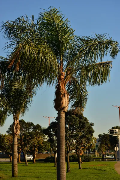 DSC_5729 (Large).JPG